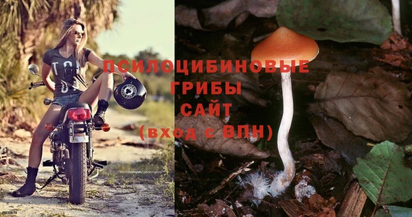 альфа пвп Нефтегорск