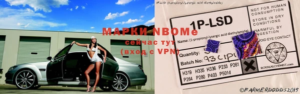 ГАЛЛЮЦИНОГЕННЫЕ ГРИБЫ Навашино