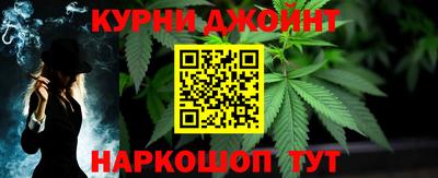 индика Гай