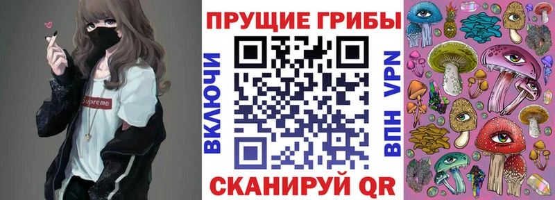 закладка  Зеленодольск  mega как войти  Псилоцибиновые грибы ЛСД 